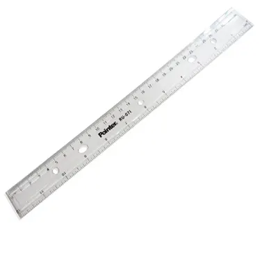 REGLA PLASTICA 30 CM POINTER